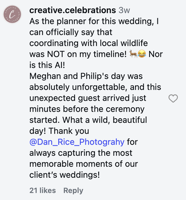 comments on the post
