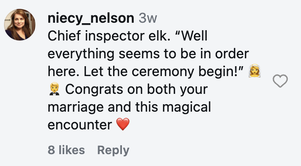 comments on the post